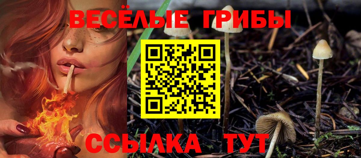 Псилоцибиновые грибы Cubensis Кунгур