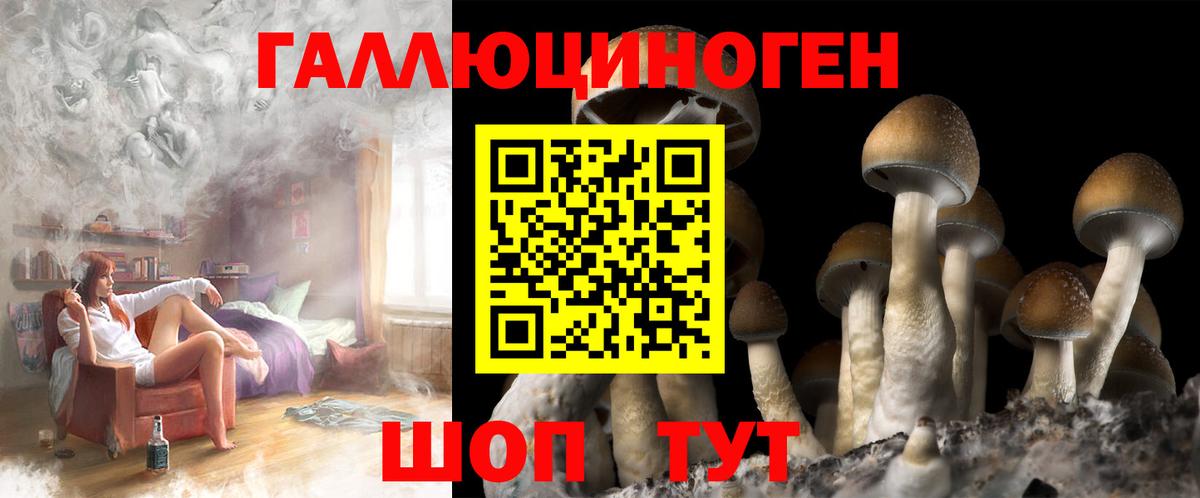 Кунгур  Галлюциногенные грибы мухоморы  Вход с VPN  Галлюциногенные грибы мицелий 